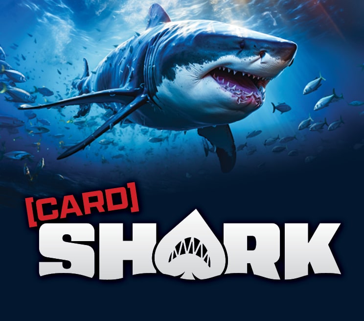 Card Shark 2025