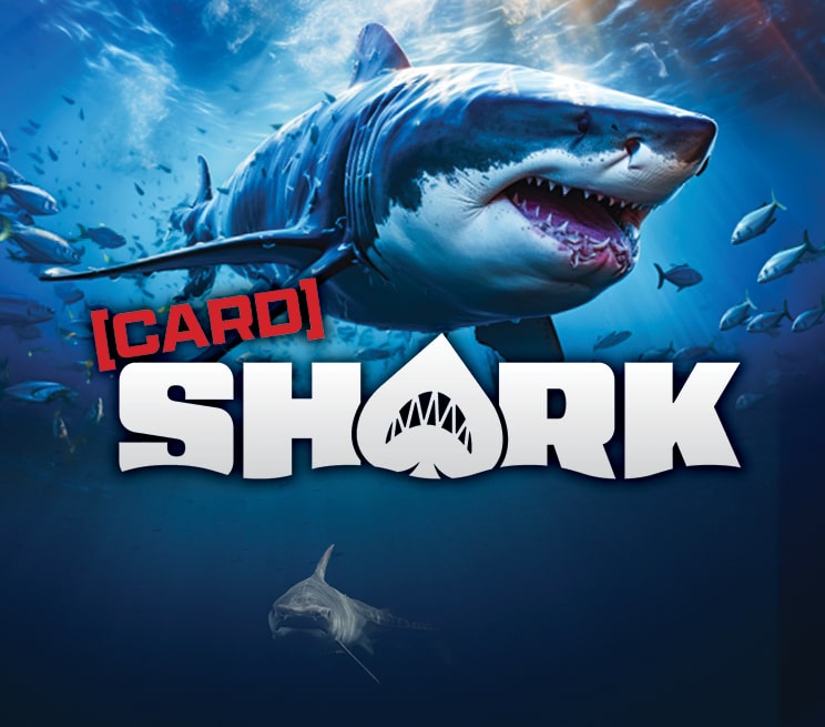 Card Shark January 2026
