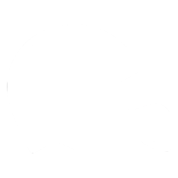 Helmet Icon