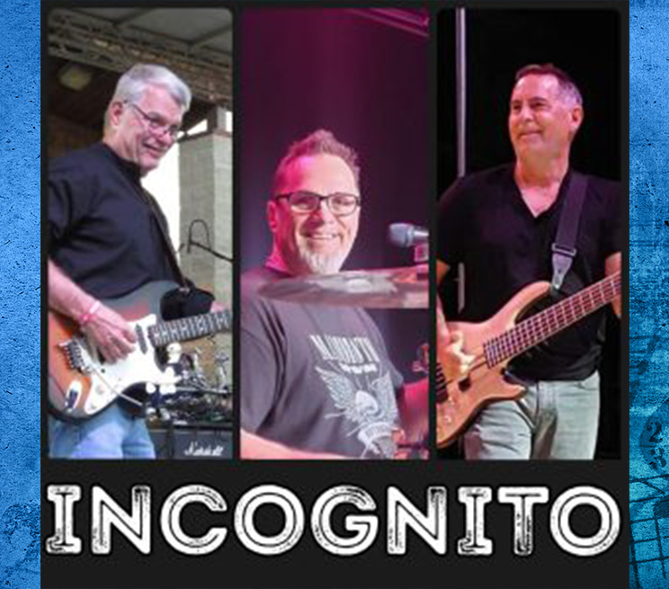 Incognito Update 2026